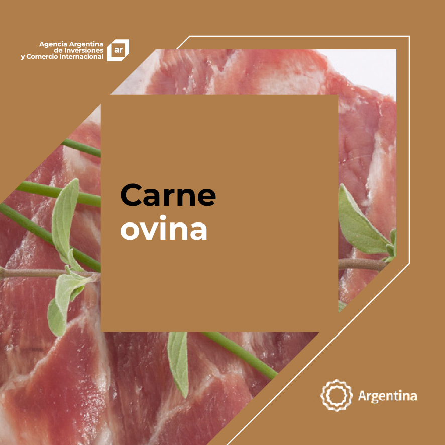 https://exportar.org.ar/images/publicaciones/Oferta exportable argentina: Carne ovina